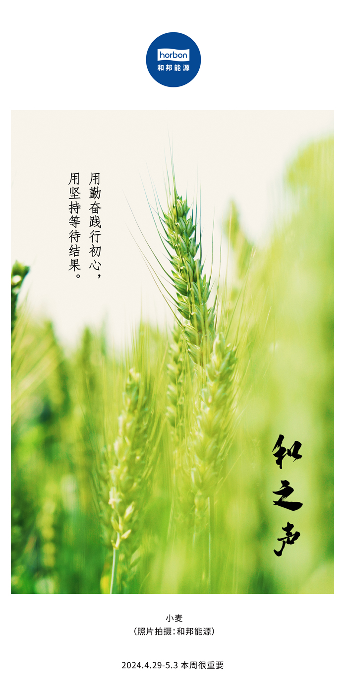 【和之声】用勤恳践行初心，用对峙期待了局。（总第132期）2024.4.29-5中文改幼季度推送用.jpg