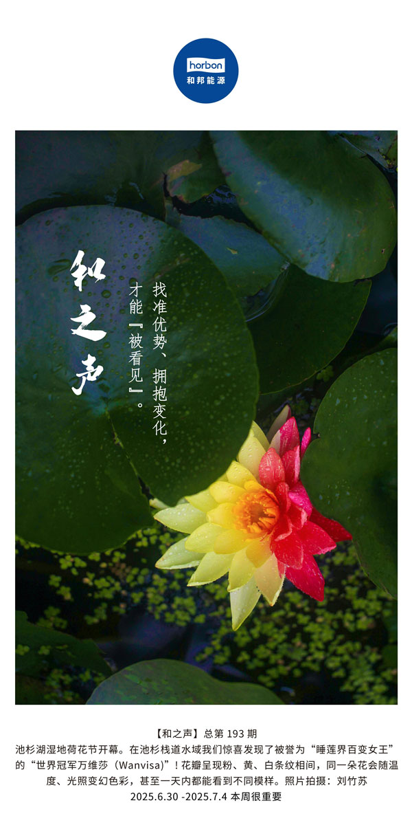 【和之声】找准优势、拥抱变动，能力“被看见”。(总第193期）--2025.6中文导出季度推送用.jpg